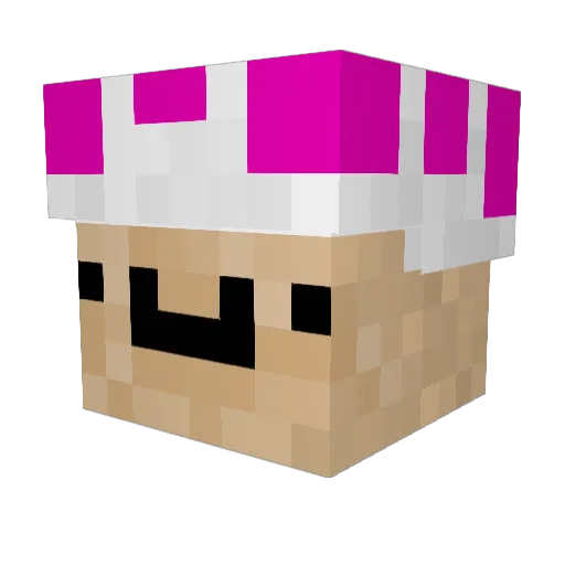 Butterchen Minecraft avatar head, 3D render