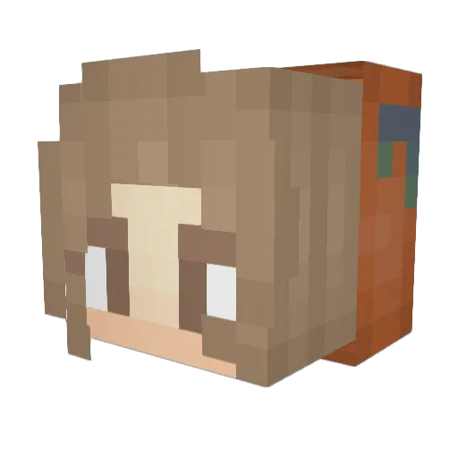 Butterfly61 Minecraft avatar head, 3D render
