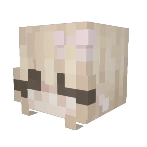 ButterflyGirl78 Minecraft avatar head, 3D render