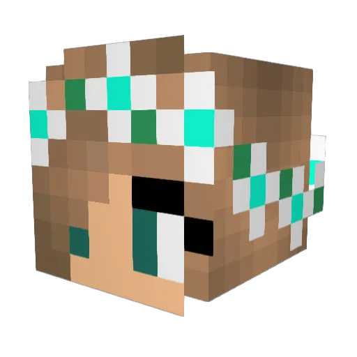 Butterflyteen Minecraft avatar head, 3D render
