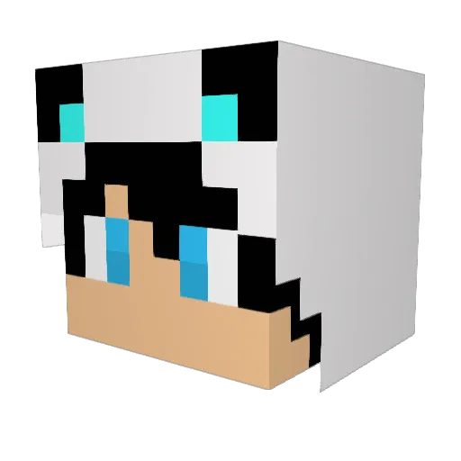 Butternut30 Minecraft avatar head, 3D render