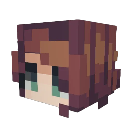 ButterscotchPi Minecraft avatar head, 3D render