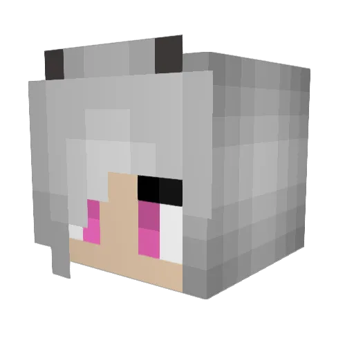 Buttersky22 Minecraft avatar head, 3D render