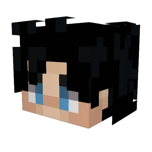Buttquack2 Minecraft avatar head, 3D render