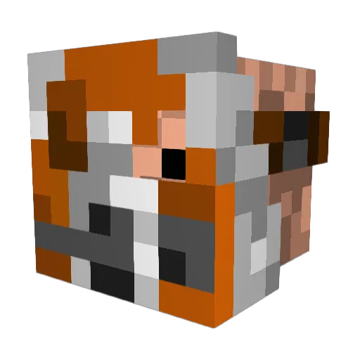 Buttstallion2112 Minecraft avatar head, 3D render