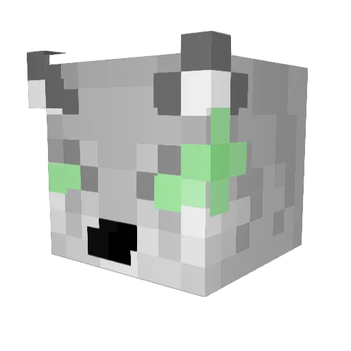 BuuHuu_xox Minecraft avatar head, 3D render
