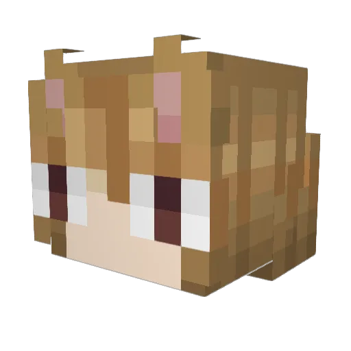 Buuurr Minecraft avatar head, 3D render