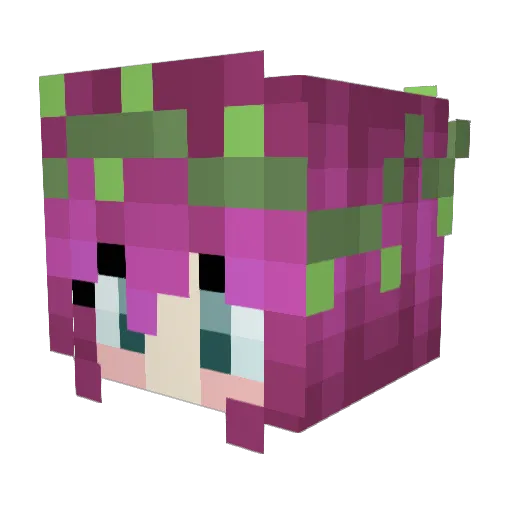 BuyMYOnlyFans18 Minecraft avatar head, 3D render