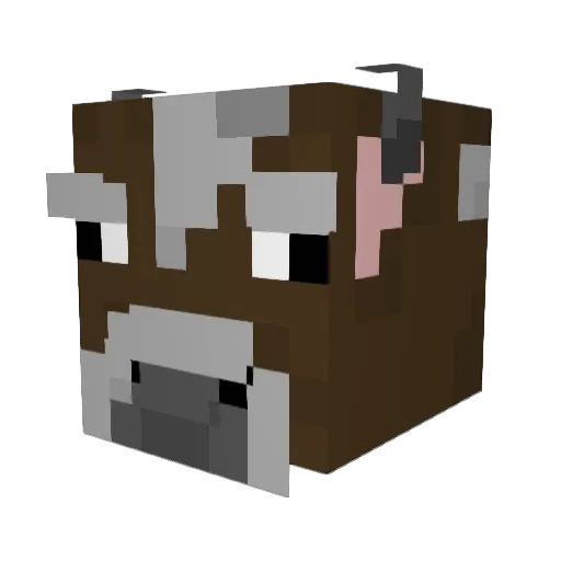 BuystDuffy Minecraft avatar head, 3D render