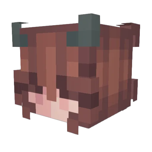 Buytje_ Minecraft avatar head, 3D render
