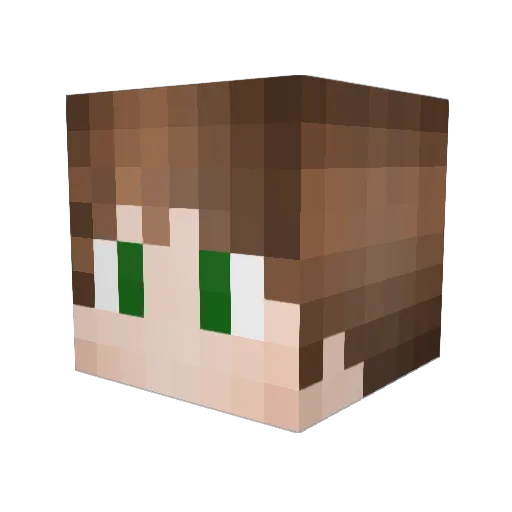 Buzar Minecraft avatar head, 3D render