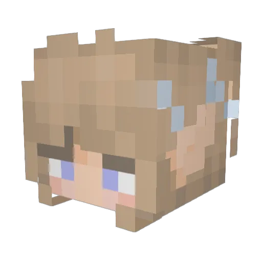 BuzzBumble2406 Minecraft avatar head, 3D render