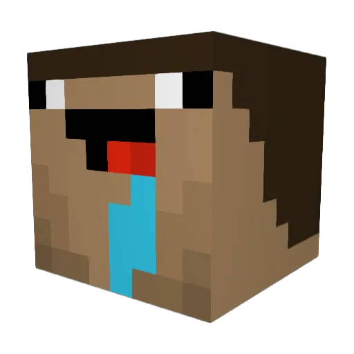 BuzzingJay Minecraft avatar head, 3D render