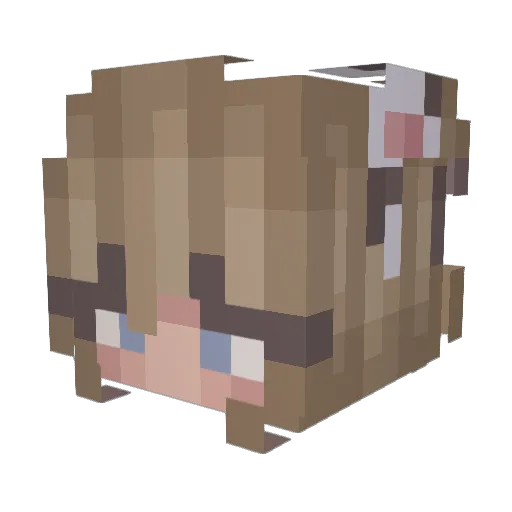 Buzzy_Beezzz_ Minecraft avatar head, 3D render