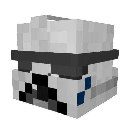 Bvacc56 Minecraft avatar head, 3D render