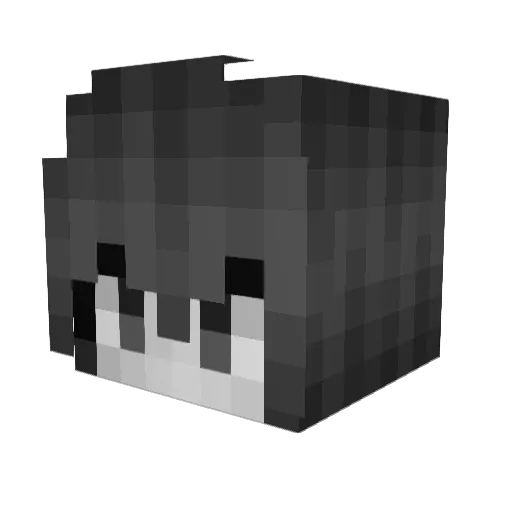 Bvngerz Minecraft avatar head, 3D render
