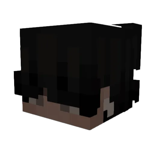 Bvus Minecraft avatar head, 3D render