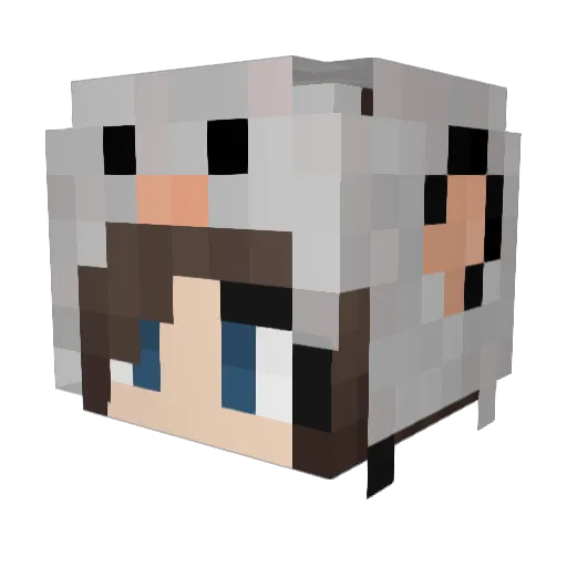 BwInvis Minecraft avatar head, 3D render