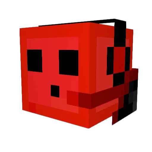 BwSMaN12 Minecraft avatar head, 3D render