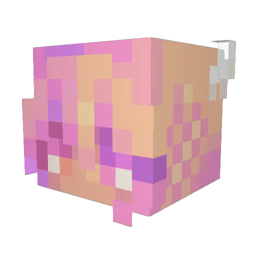 BwU_ Minecraft avatar head, 3D render
