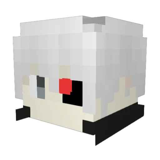 Bw_Sunn Minecraft avatar head, 3D render