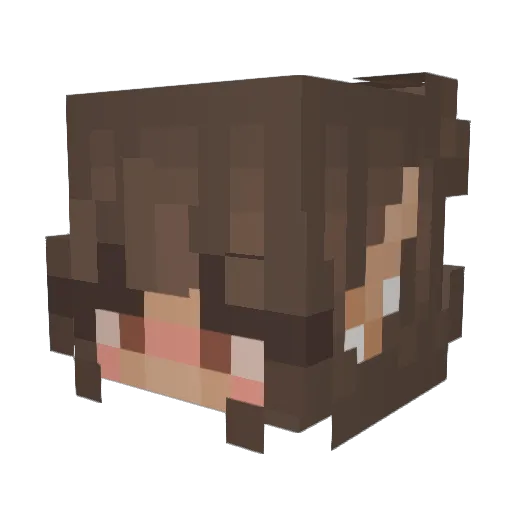 Bwaygeek2005 Minecraft avatar head, 3D render
