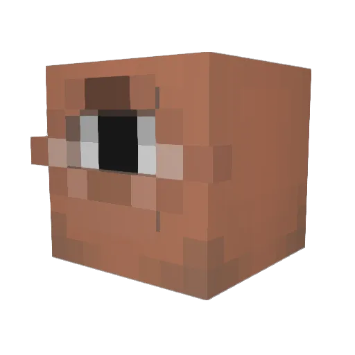 Bwerty45678 Minecraft avatar head, 3D render