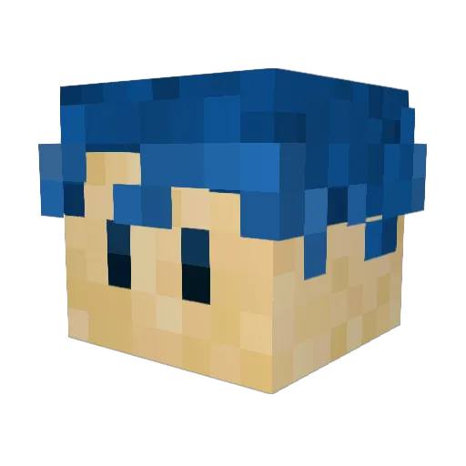 Bwheels50 Minecraft avatar head, 3D render