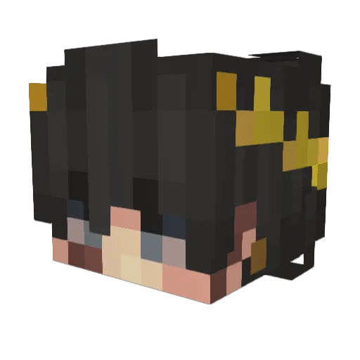 Bwnser Minecraft avatar head, 3D render