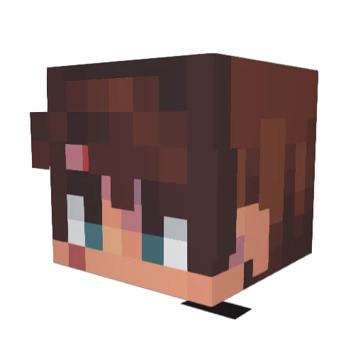 Bwolf2014 Minecraft avatar head, 3D render