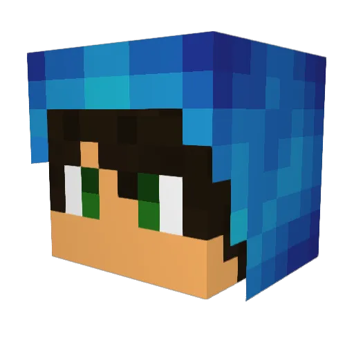 Bwxnii Minecraft avatar head, 3D render