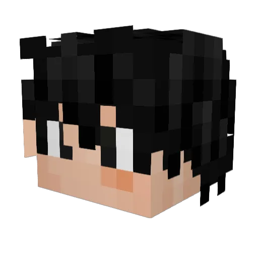 Bxbby_Hill Minecraft avatar head, 3D render