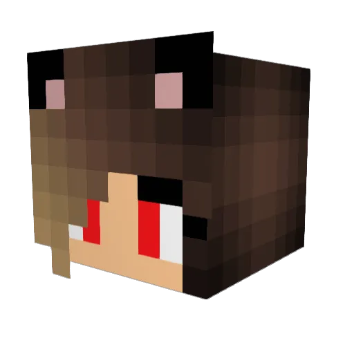 Bxby_Killa Minecraft avatar head, 3D render