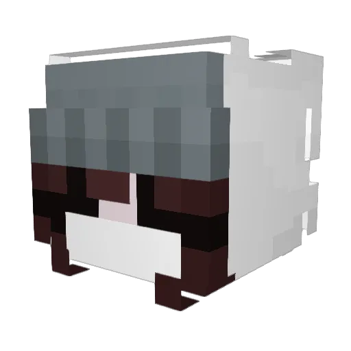 Bxddly Minecraft avatar head, 3D render