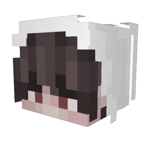 Bxdslash09 Minecraft avatar head, 3D render
