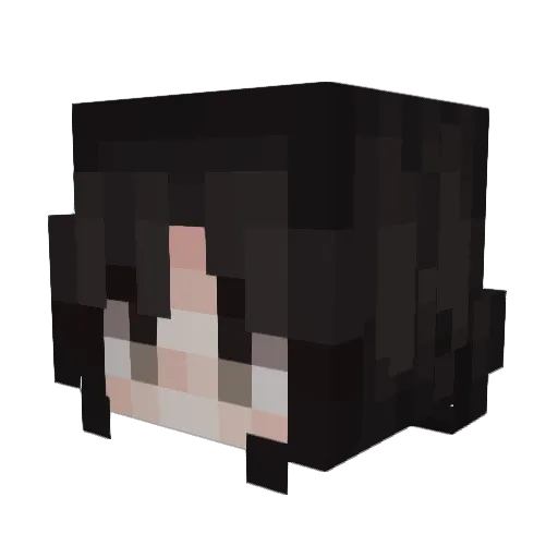 Bxhxhdb Minecraft avatar head, 3D render