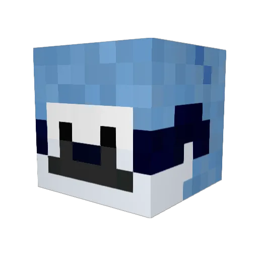 Bxldwinn Minecraft avatar head, 3D render