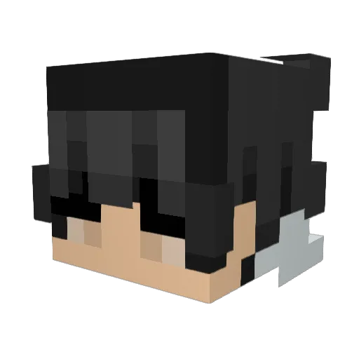 Bxnji7 Minecraft avatar head, 3D render