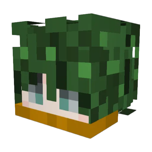 Bxnjz_ Minecraft avatar head, 3D render