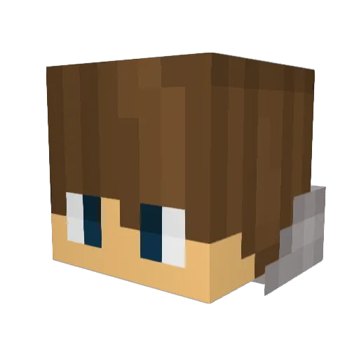 Bxnnx Minecraft avatar head, 3D render