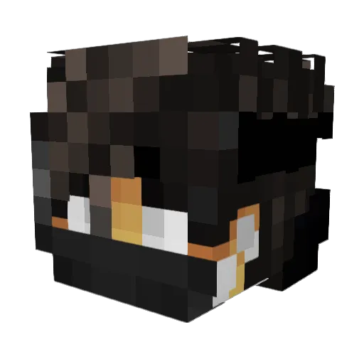 Bxrsxrk Minecraft avatar head, 3D render