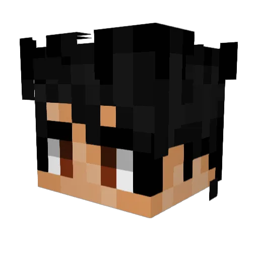 Bxstixn33 Minecraft avatar head, 3D render