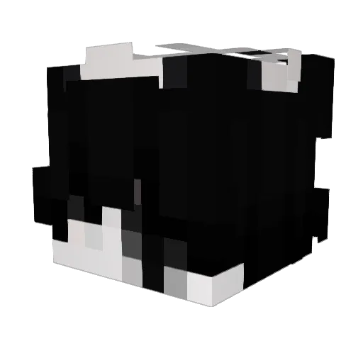 Bxwky Minecraft avatar head, 3D render