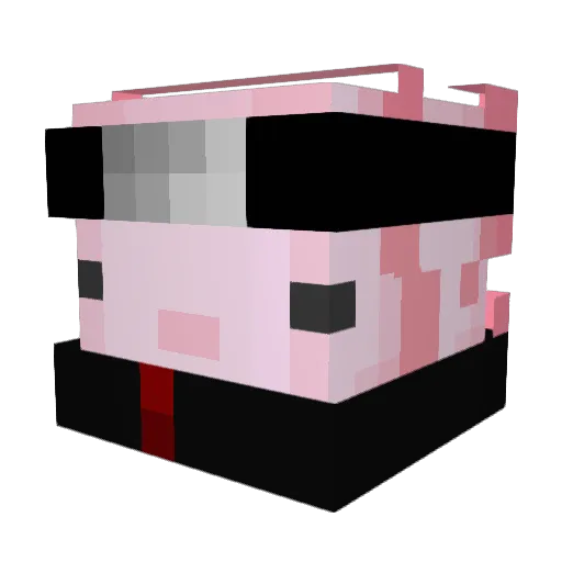 Bxxre Minecraft avatar head, 3D render