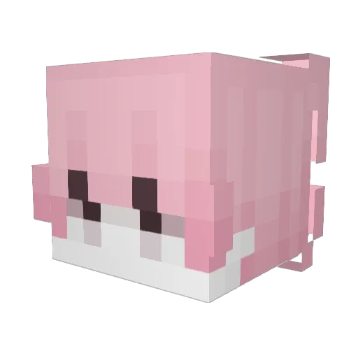 Bxzzak Minecraft avatar head, 3D render