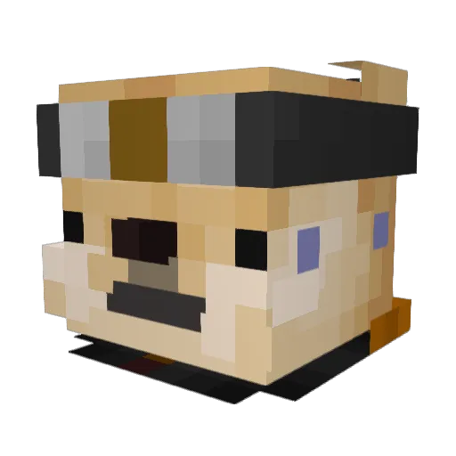 ByEnwox Minecraft avatar head, 3D render