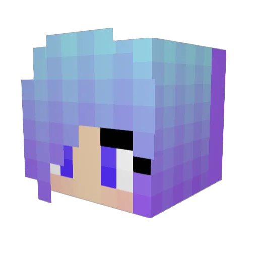 BySofi_NyS Minecraft avatar head, 3D render