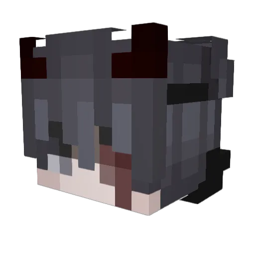 BySteaLz__ Minecraft avatar head, 3D render