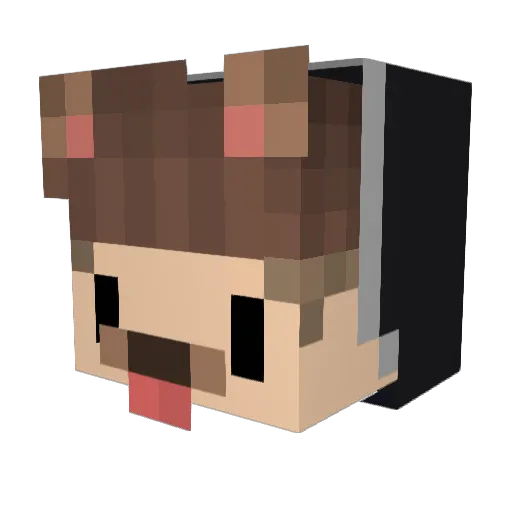 ByTiimi Minecraft avatar head, 3D render