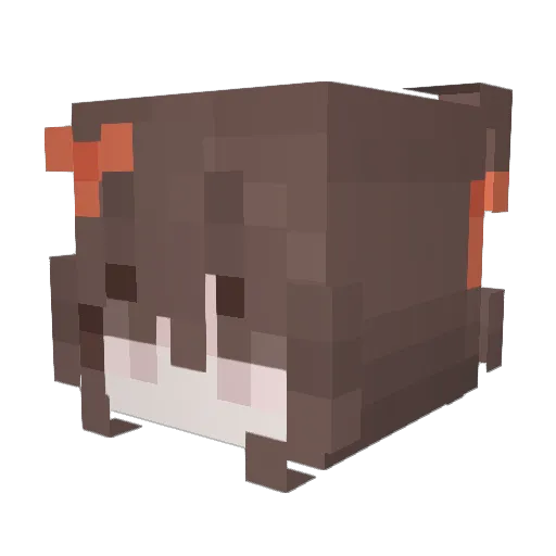 By_Teko0 Minecraft avatar head, 3D render